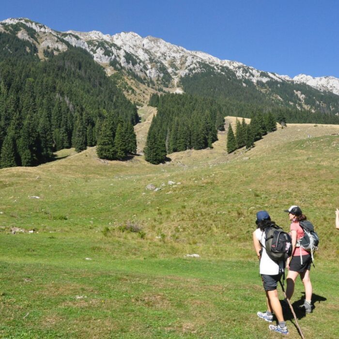 2-Day Adventure and Culture Hike in Brasov County - Piatra Craiului National Park