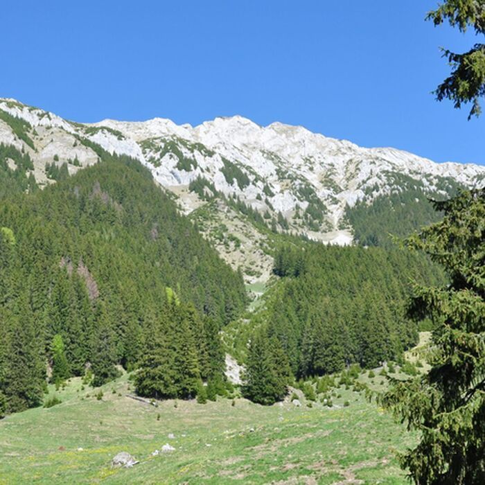 2-Day Adventure and Culture Hike in Brasov County - Piatra Craiului National Park