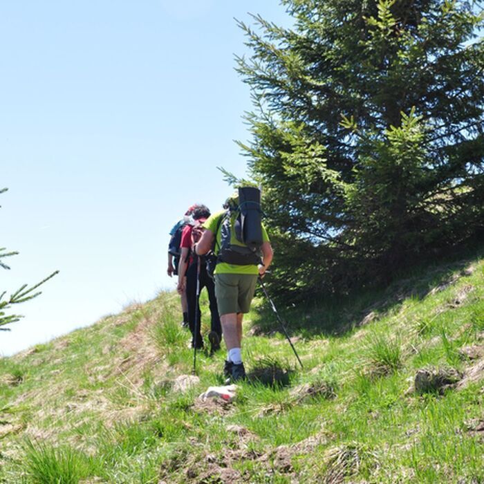 2-Day Adventure and Culture Hike in Brasov County - Piatra Craiului National Park