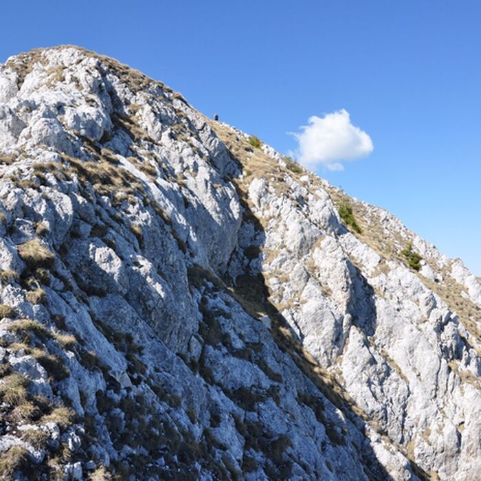 2-Day Adventure and Culture Hike in Brasov County - Piatra Craiului National Park