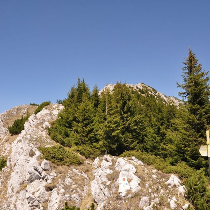 2-Day Adventure and Culture Hike in Brasov County - Piatra Craiului National Park