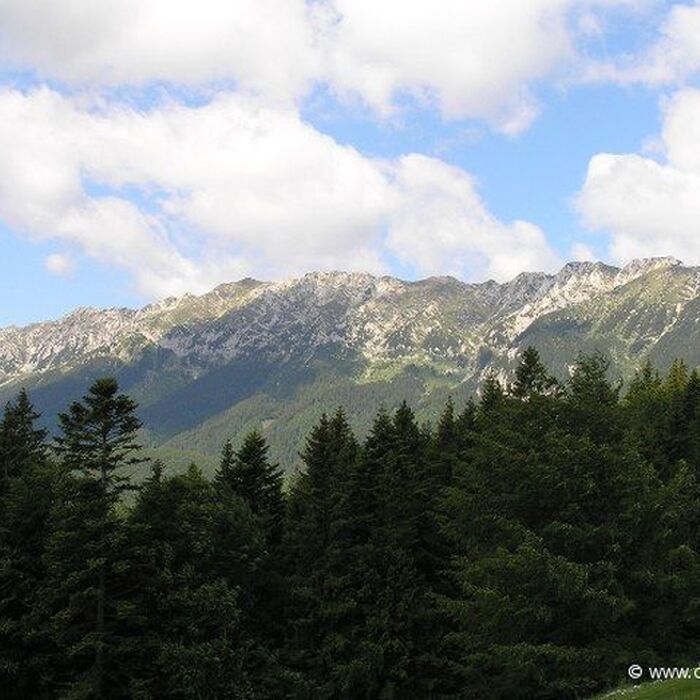 Private Active trekking tour in Piatra Craiului National Park - 1 day - Main ridge of Piatra Craiului