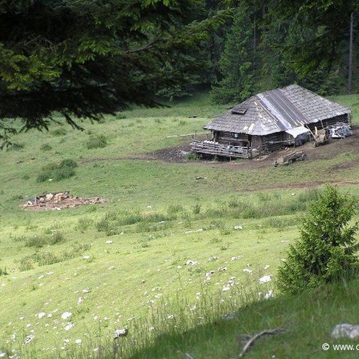 Private Active trekking tour in Piatra Craiului National Park - 1 day - Sheep farm