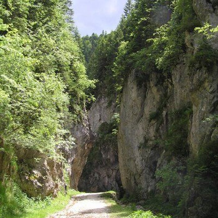 Private Active trekking tour in Piatra Craiului National Park - 1 day - Zarnesti Gorges