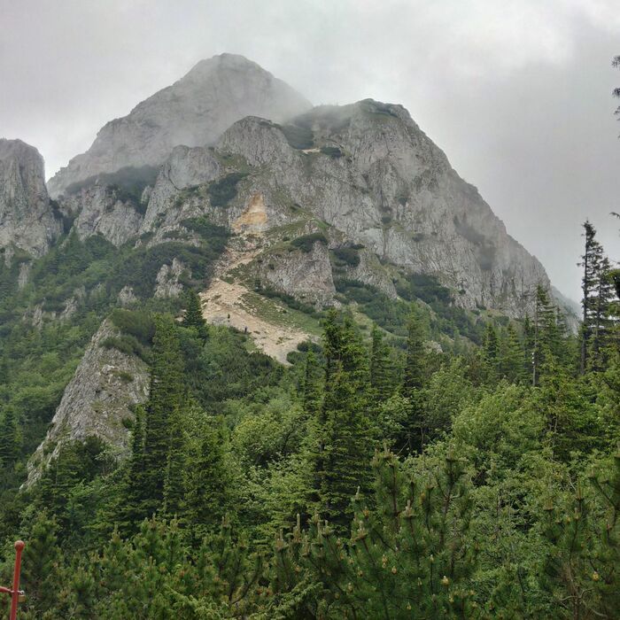 Private Active trekking tour in Piatra Craiului National Park - 1 day - Piatra Mica