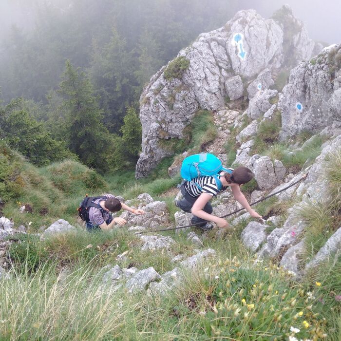 Private Active trekking tour in Piatra Craiului National Park - 1 day - Hiking to the main ridge