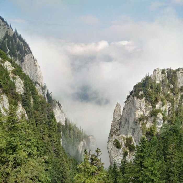 Private Active trekking tour in Piatra Craiului National Park - 1 day - Curmatura saddle