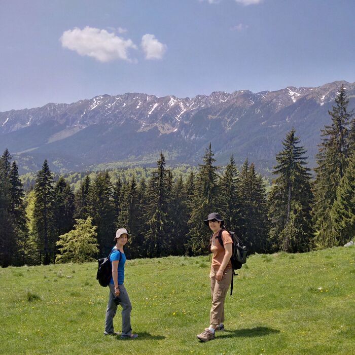 Private Active trekking tour in Piatra Craiului National Park - 1 day - Zanoaga meadow