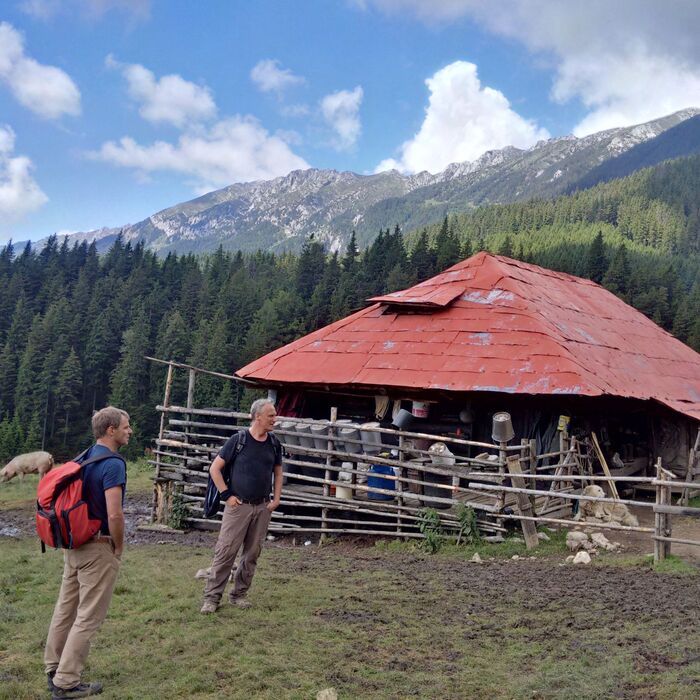 Private Active trekking tour in Piatra Craiului National Park - 1 day - Sheepfarm in Curmatura meadow