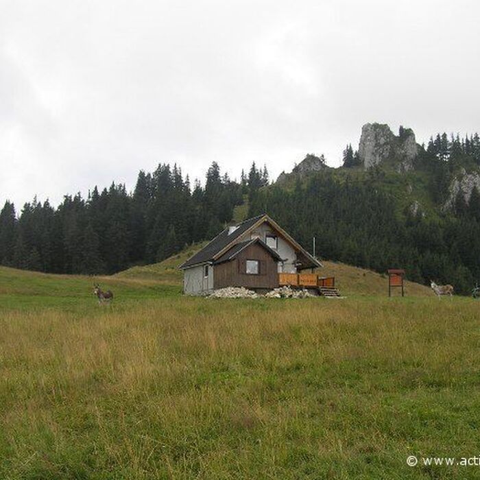 Active trekking tour in Piatra Mare Massif - 1 day - Piatra Mare hut