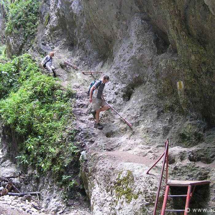 Active trekking tour in Piatra Mare Massif - 1 day - 7 Ladders Canyon