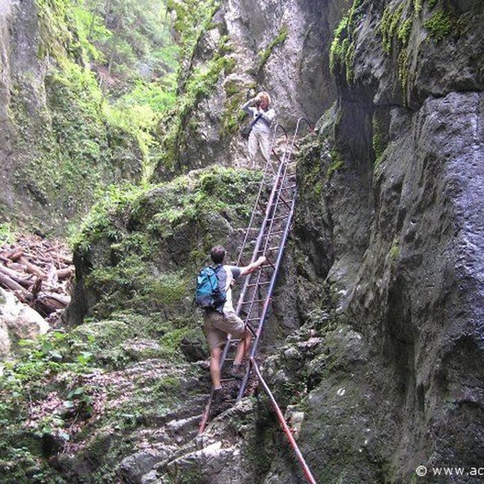 Active trekking tour in Piatra Mare Massif - 1 day - 7 Ladders Canyon