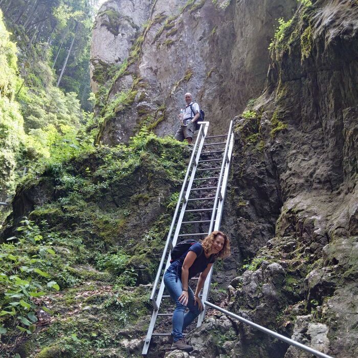 Active trekking tour in Piatra Mare Massif - 1 day - 7 Ladders Canyon