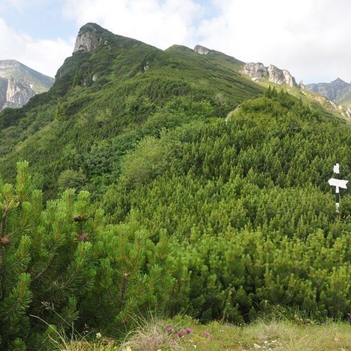 Backpacking Romania, Bucegi mountains - Malaiesti hut area