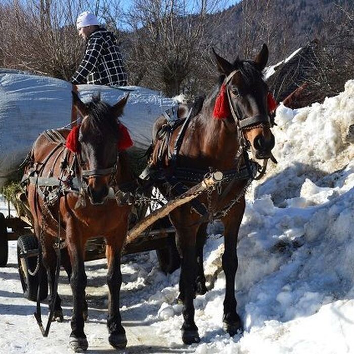 Backpacking Romania - Circling the Piatra Craiului National Park