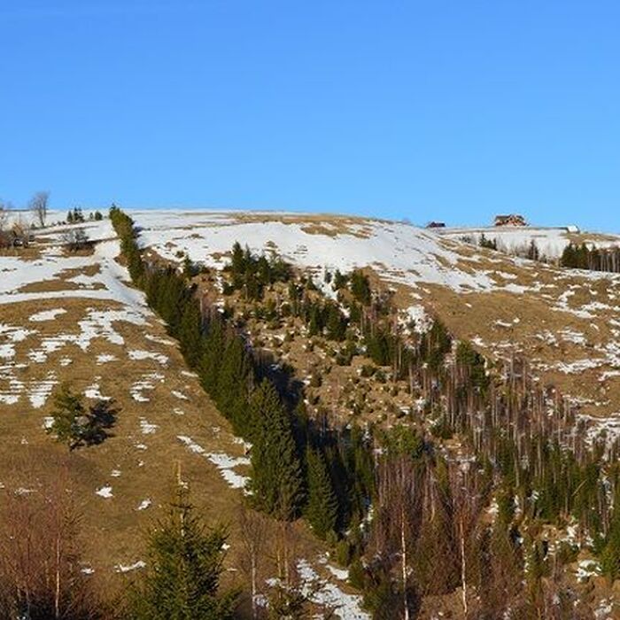 Backpacking Romania - Circling the Piatra Craiului National Park