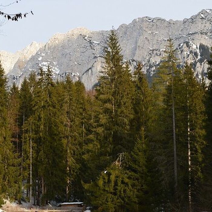 Backpacking Romania - Circling the Piatra Craiului National Park