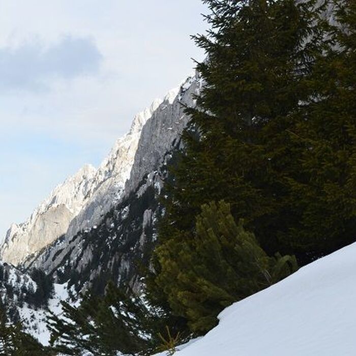 Backpacking Romania - Circling the Piatra Craiului National Park