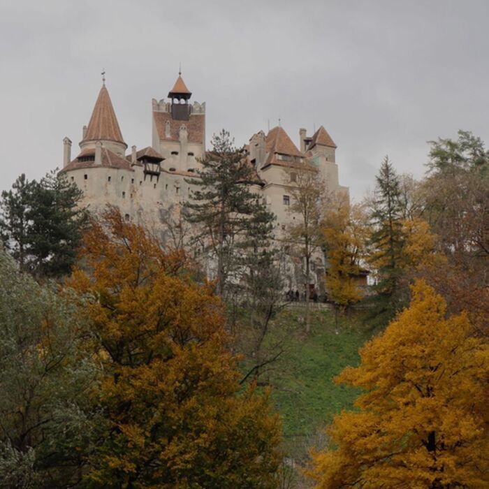 Small-Group day trip Bran Castle and Rasnov Fortress Tour from Brasov - Bran Castle