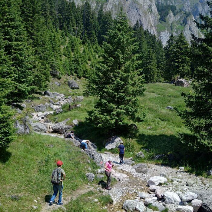 Castles and villages of the Carpathian Mountains - 4 Mountains in 7 days - Bucegi Natural Park