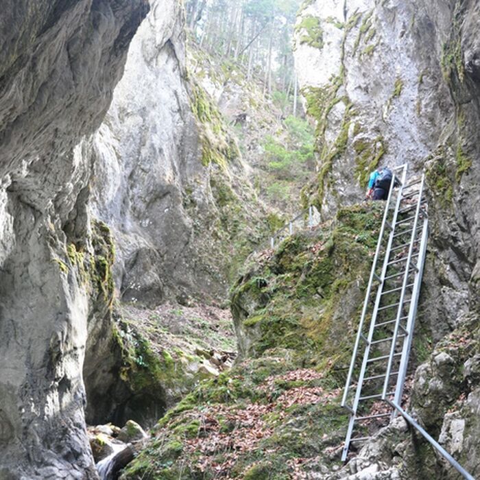 Castles and villages of the Carpathian Mountains - 4 Mountains in 7 days - 7 Ladders Canyon