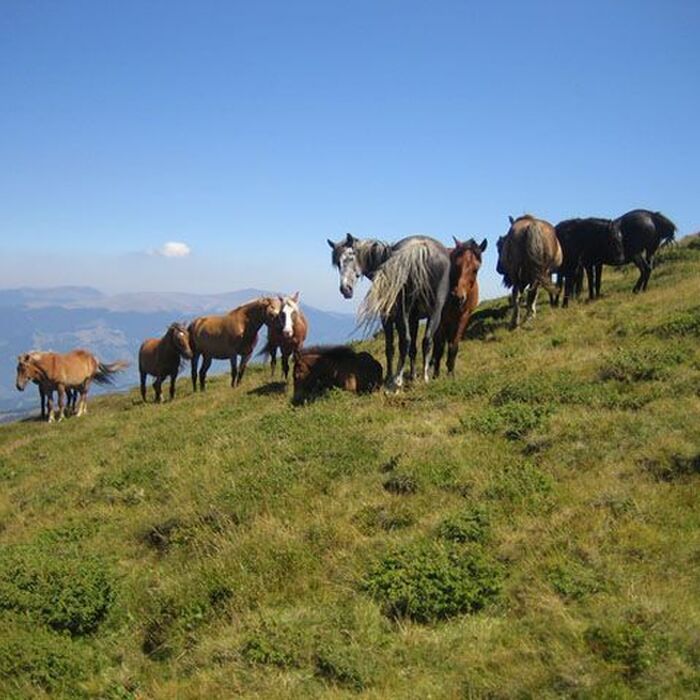 Parang Mountains